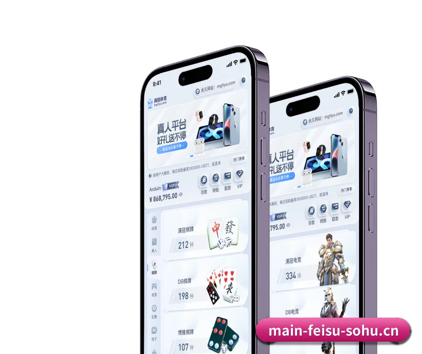 国际化进程 | feisu
